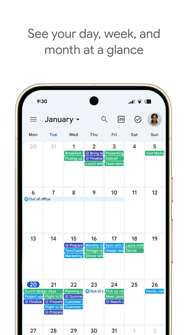 Google Calendar shared calendars view with family and colleagues